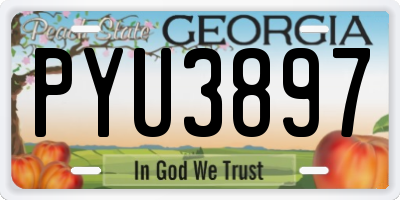 GA license plate PYU3897
