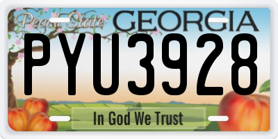 GA license plate PYU3928