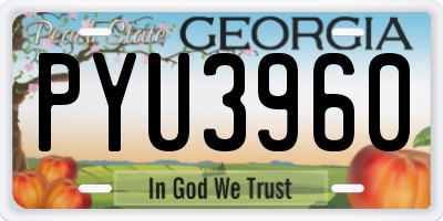 GA license plate PYU3960