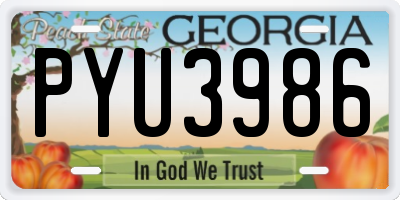 GA license plate PYU3986