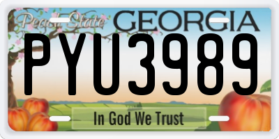 GA license plate PYU3989