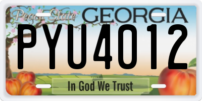 GA license plate PYU4012