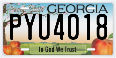 GA license plate PYU4018