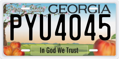 GA license plate PYU4045