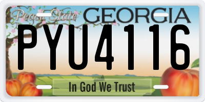 GA license plate PYU4116