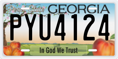 GA license plate PYU4124