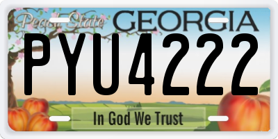 GA license plate PYU4222
