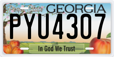 GA license plate PYU4307