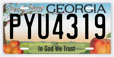 GA license plate PYU4319