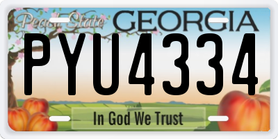 GA license plate PYU4334