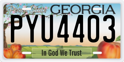GA license plate PYU4403
