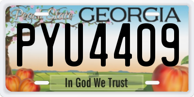GA license plate PYU4409