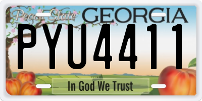 GA license plate PYU4411