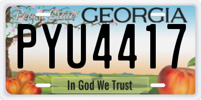 GA license plate PYU4417