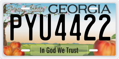 GA license plate PYU4422