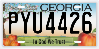 GA license plate PYU4426