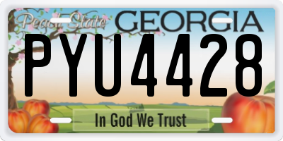 GA license plate PYU4428