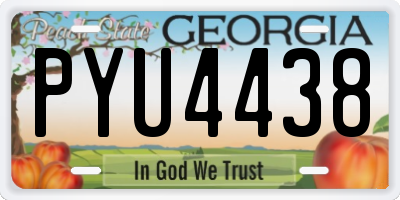GA license plate PYU4438