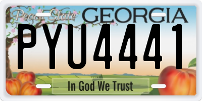 GA license plate PYU4441