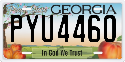 GA license plate PYU4460
