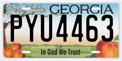 GA license plate PYU4463