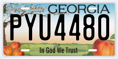 GA license plate PYU4480