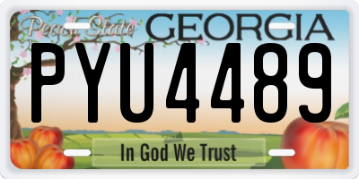 GA license plate PYU4489
