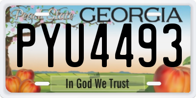GA license plate PYU4493