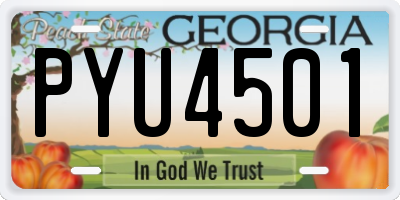 GA license plate PYU4501