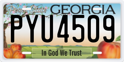 GA license plate PYU4509