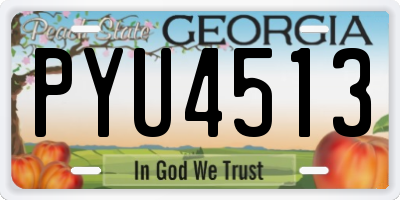 GA license plate PYU4513