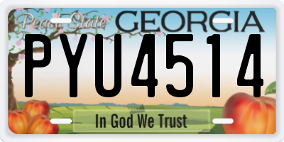 GA license plate PYU4514