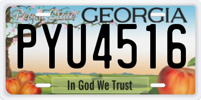 GA license plate PYU4516