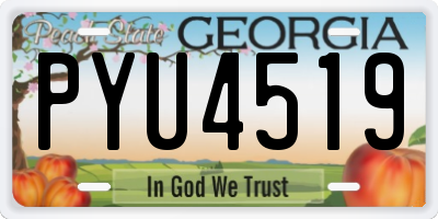 GA license plate PYU4519