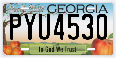 GA license plate PYU4530