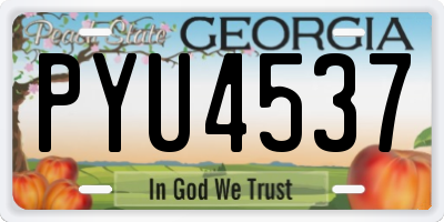 GA license plate PYU4537