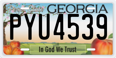 GA license plate PYU4539