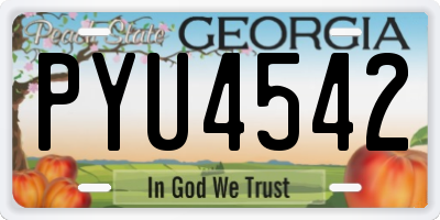 GA license plate PYU4542