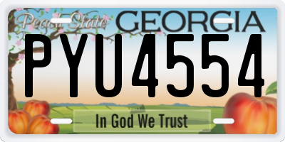 GA license plate PYU4554