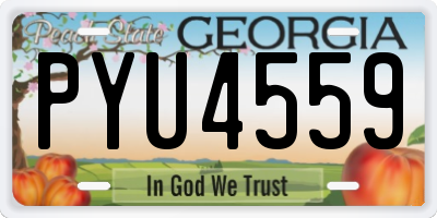 GA license plate PYU4559