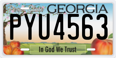GA license plate PYU4563