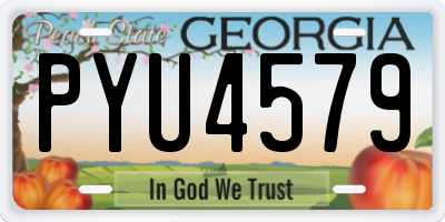 GA license plate PYU4579