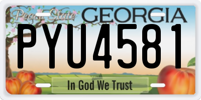 GA license plate PYU4581