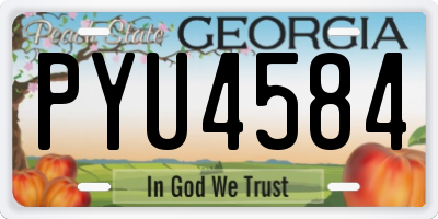 GA license plate PYU4584