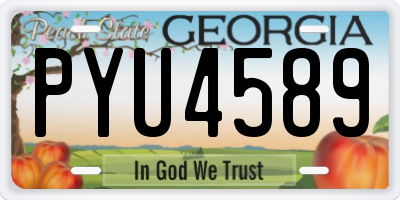 GA license plate PYU4589