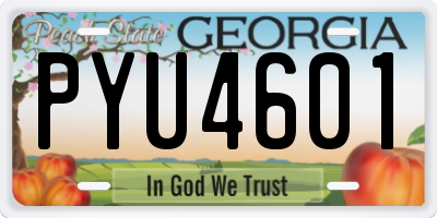 GA license plate PYU4601