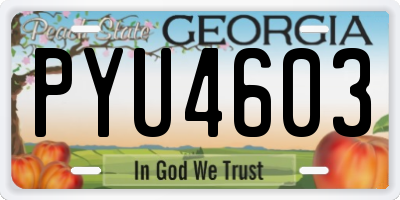GA license plate PYU4603