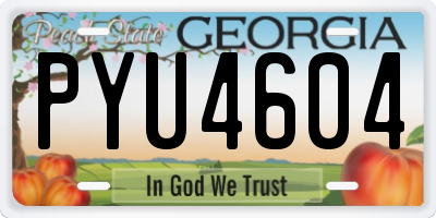 GA license plate PYU4604
