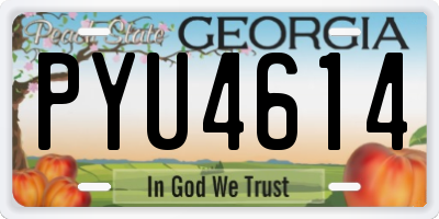 GA license plate PYU4614
