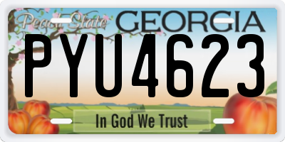 GA license plate PYU4623